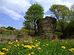 Rezerwat przyrody Skorocice